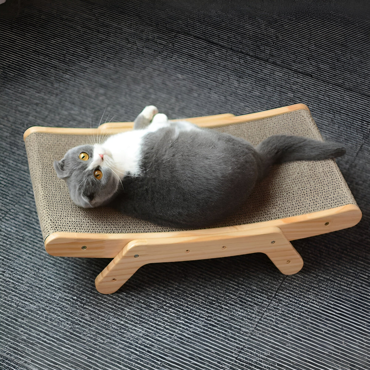 pets : PurrPlay Board - Multifunctionele Verwijderbare Houten KattenKrabPlank in van Pantino