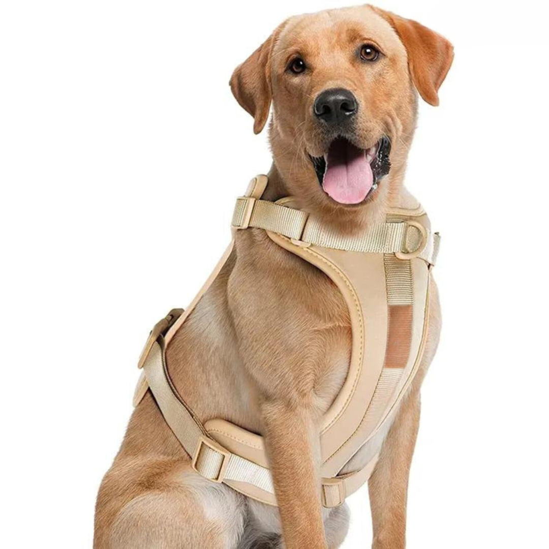 pets : ComfyPaws | Harnas Wandel Set (Inclusief Riem en Poepzakjes Drager) in Beige-2 van Pantino