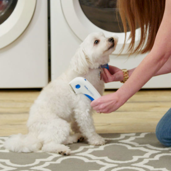 pets : FleaFade™ | Ultieme Vlooienbestrijding in van Pantino