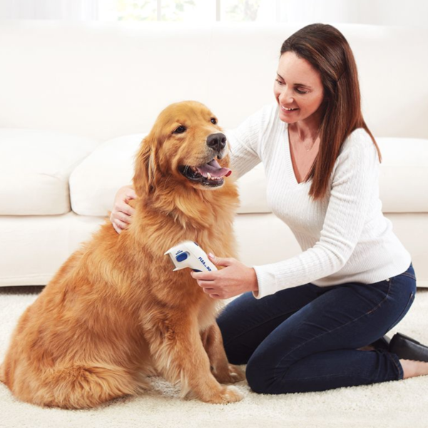 pets : FleaFade™ | Ultieme Vlooienbestrijding in van Pantino