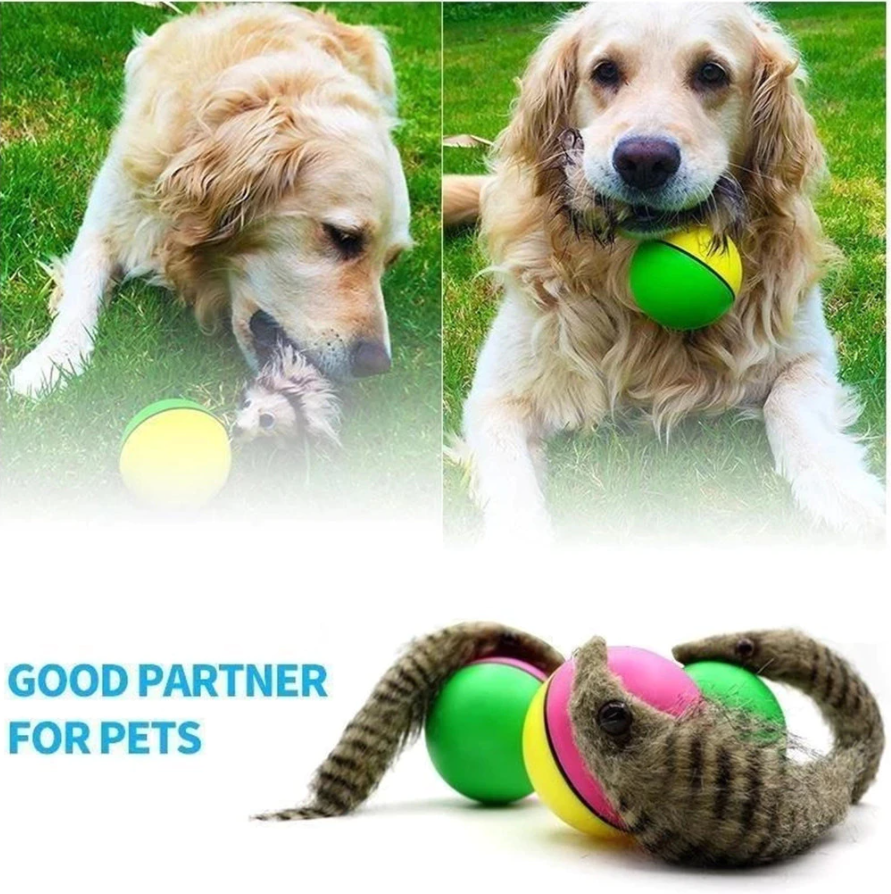 pets : PlayBall | Elektronisch Interactief Speelgoed voor Dieren in van Pantino