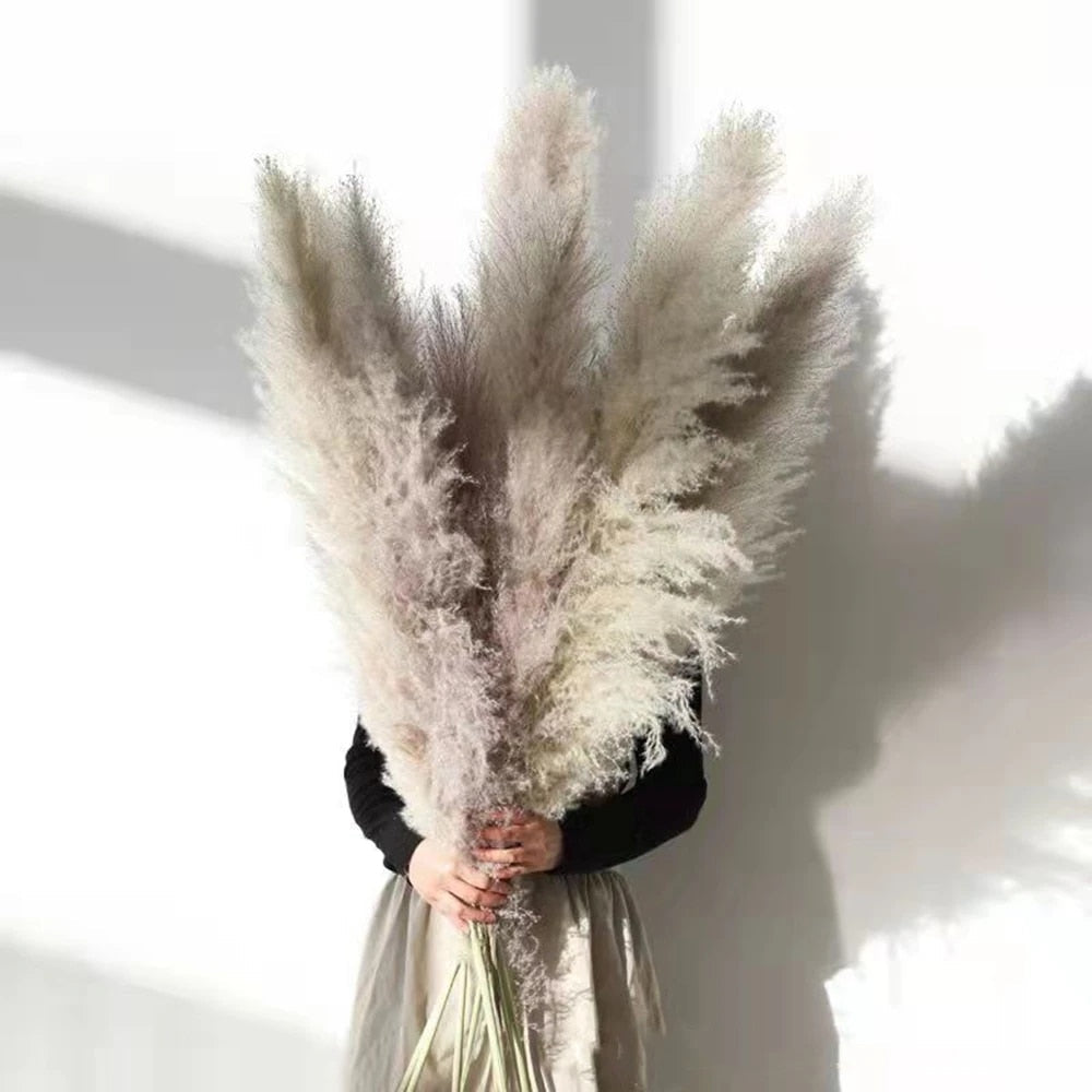 home & garden : FeatherFawn - Gedroogde Pampas Bloemen in van Pantino
