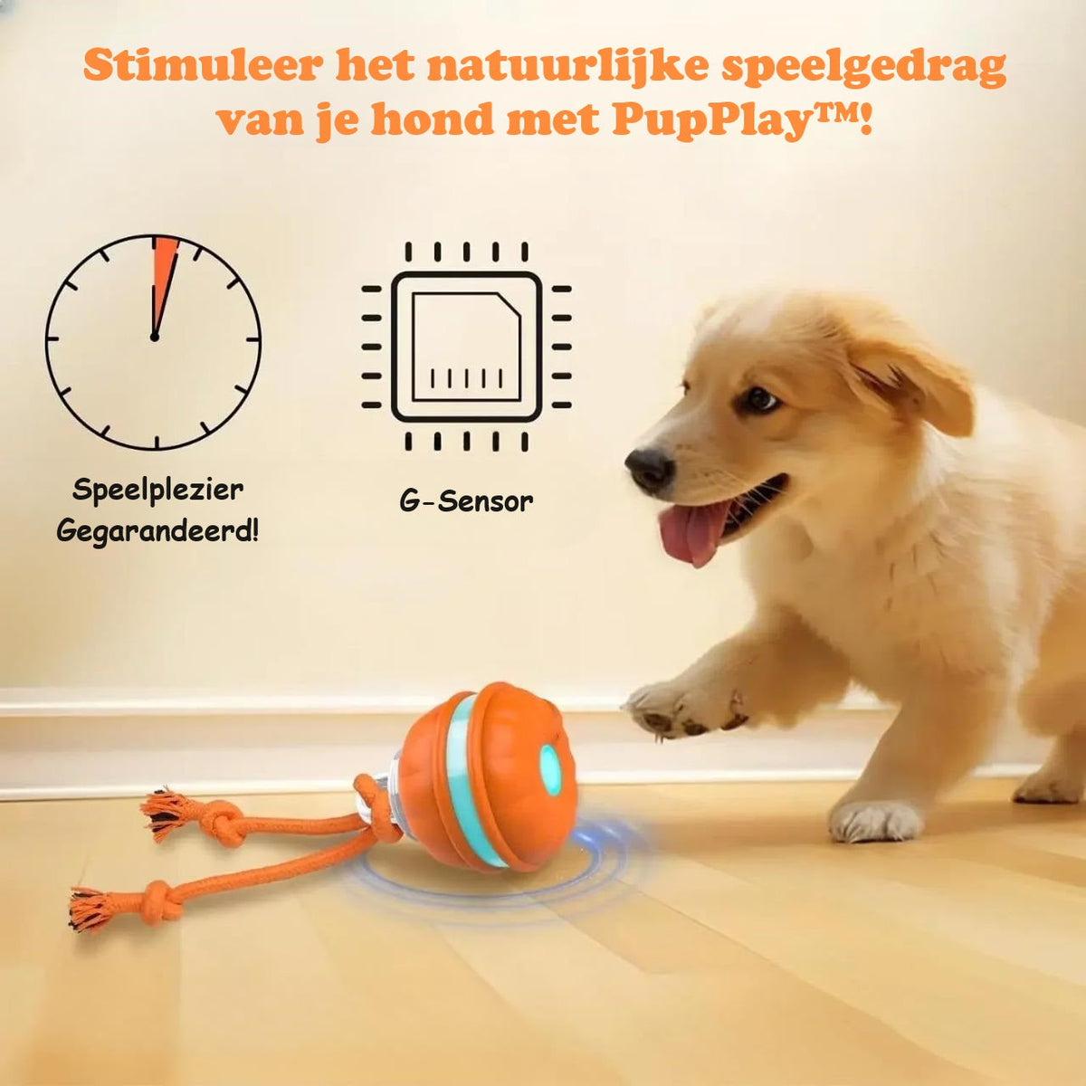 pets : PupPlay™ | Sterk en Langdurig Speelplezier in van Pantino