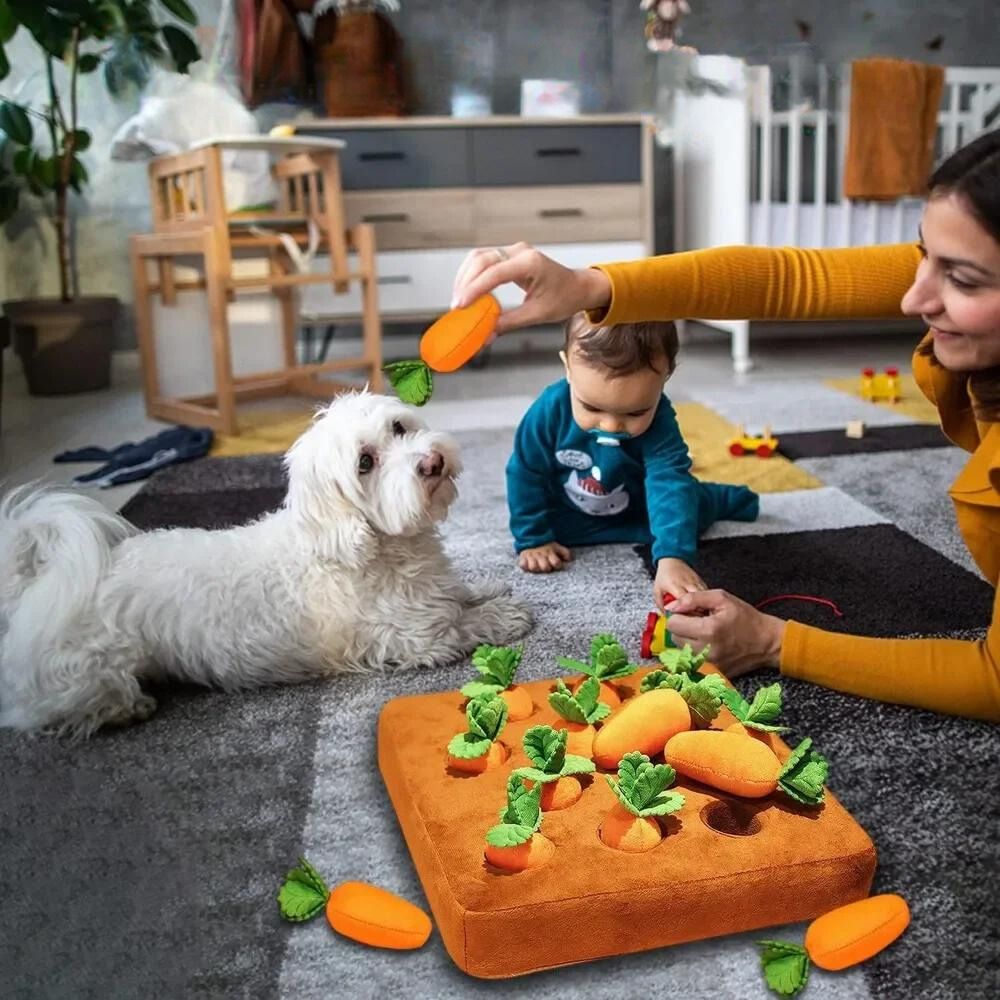 pets : Snuffeldog - Stimuleer de mentale gezondheid van jouw hond! in van Pantino