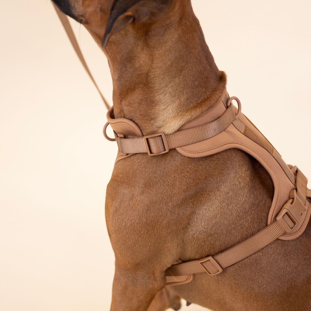 pets : ComfyPaws | Harnas Wandel Set (Inclusief Riem en Poepzakjes Drager) in van Pantino