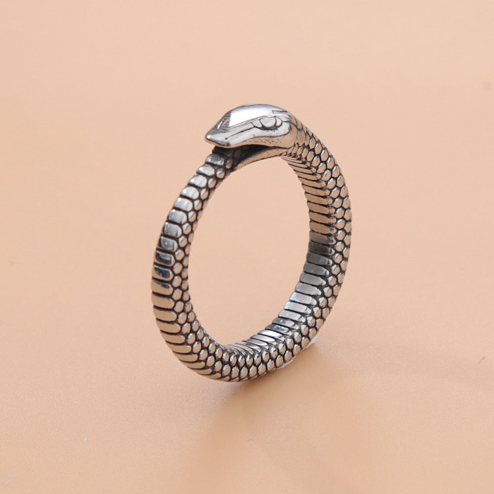accessories : Noorse Mythologie in Silver 1 van Pantino