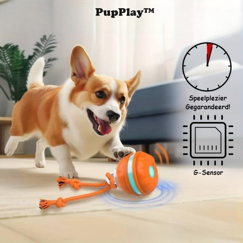 pets : PupPlay™ | Sterk en Langdurig Speelplezier in van Pantino
