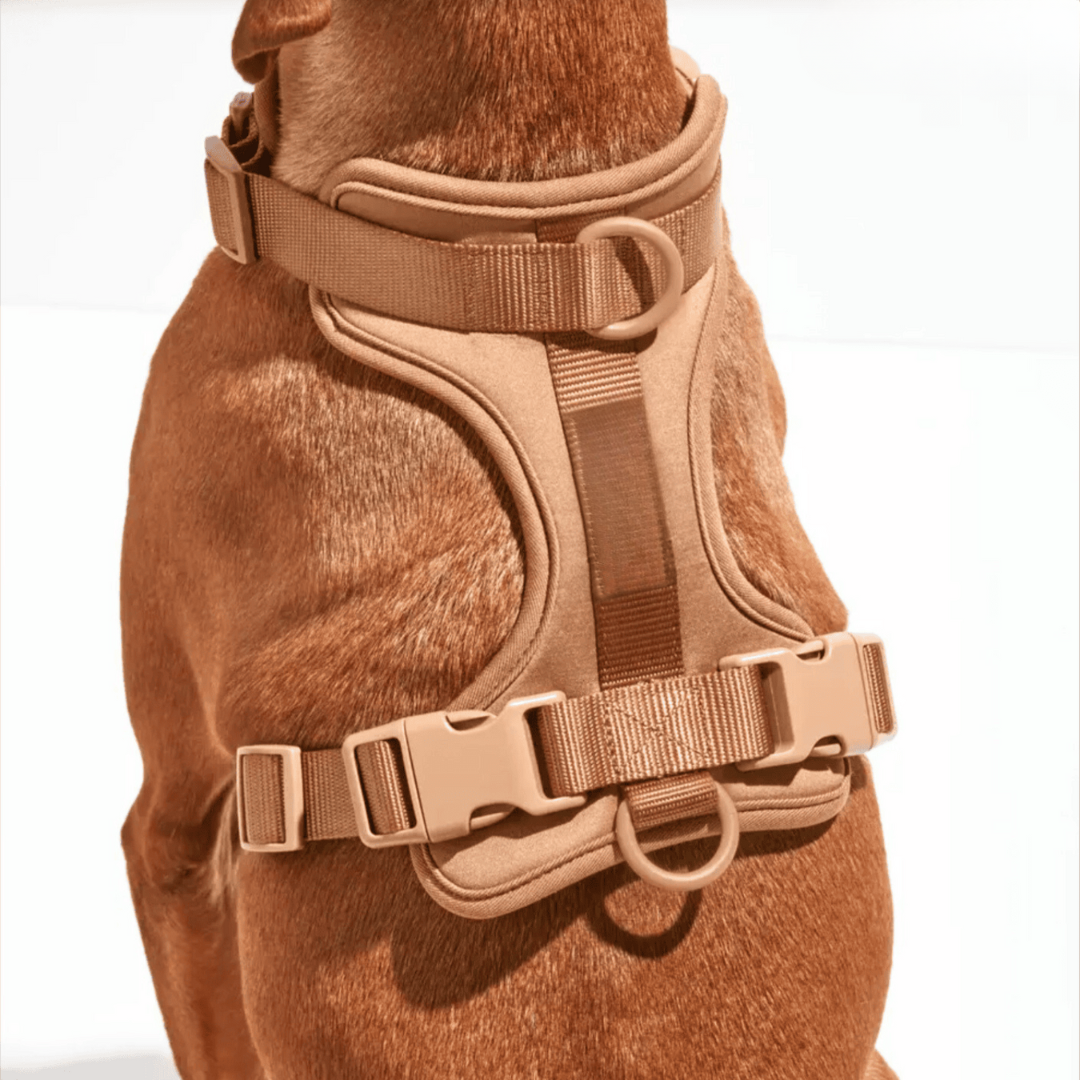 pets : ComfyPaws | Harnas Wandel Set (Inclusief Riem en Poepzakjes Drager) in van Pantino