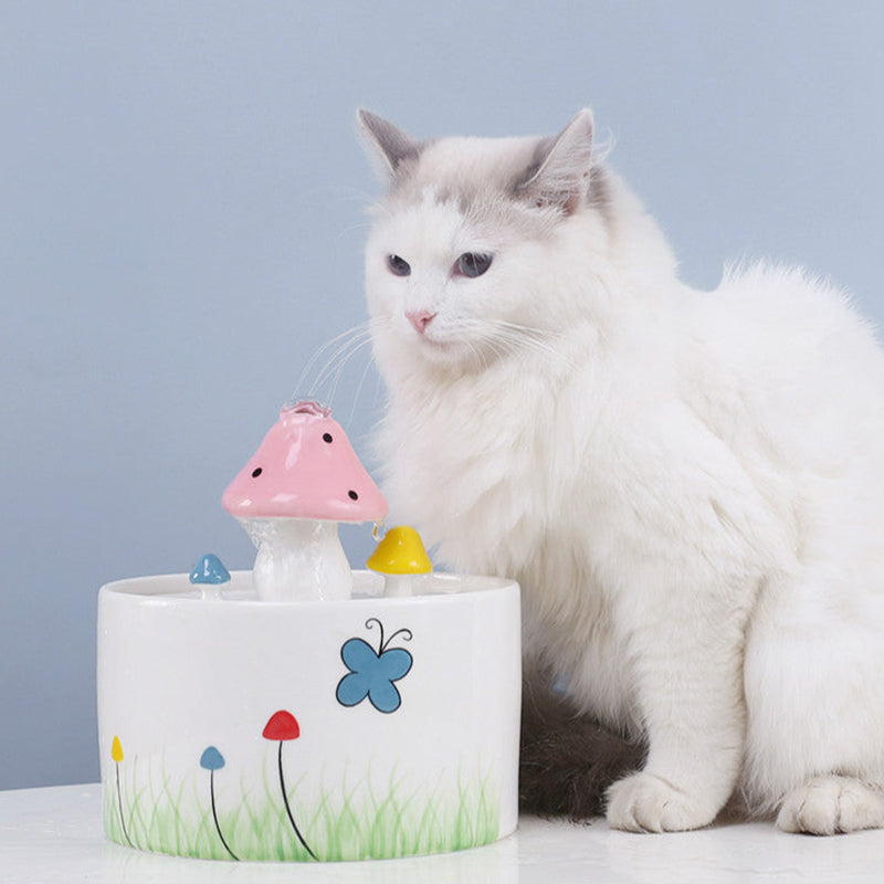 pets : Paddestoel waterfontein in van Pantino