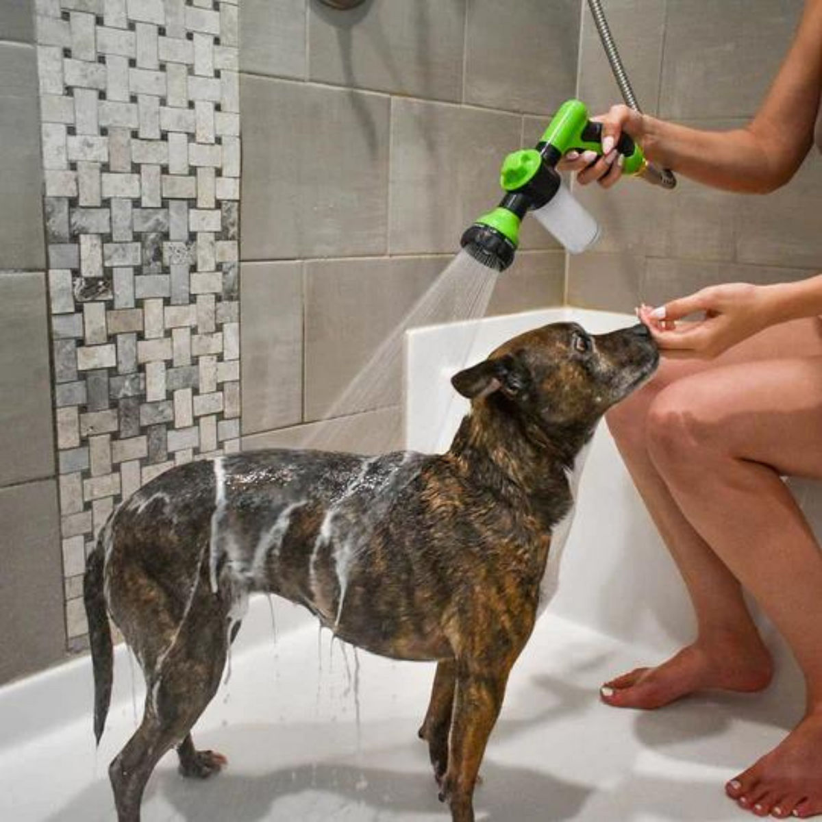 pets : PupBath™ Badder je hond moeiteloos in recordtijd! in Groen van Pantino