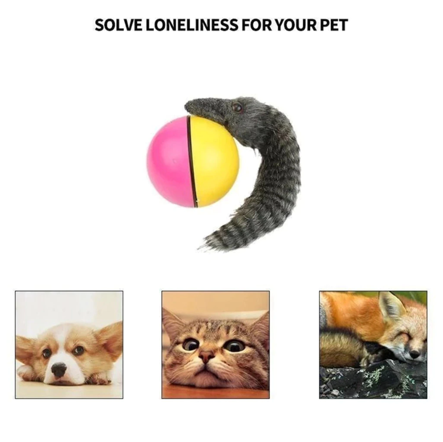pets : PlayBall | Elektronisch Interactief Speelgoed voor Dieren in van Pantino