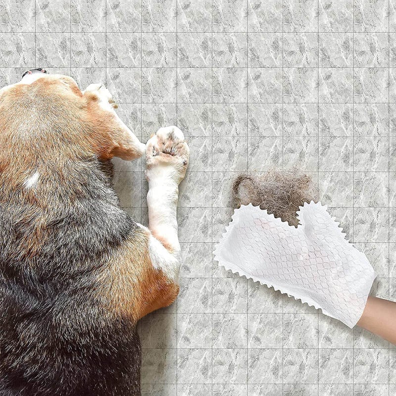 home & garden : DustWipe - Huishoudelijke schoonmaakhandschoenen (10+10 GRATIS) in van Pantino