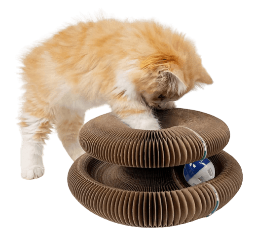 pets : CatCastle™ | Bescherm je meubels en gemoedstoestand! in van Pantino