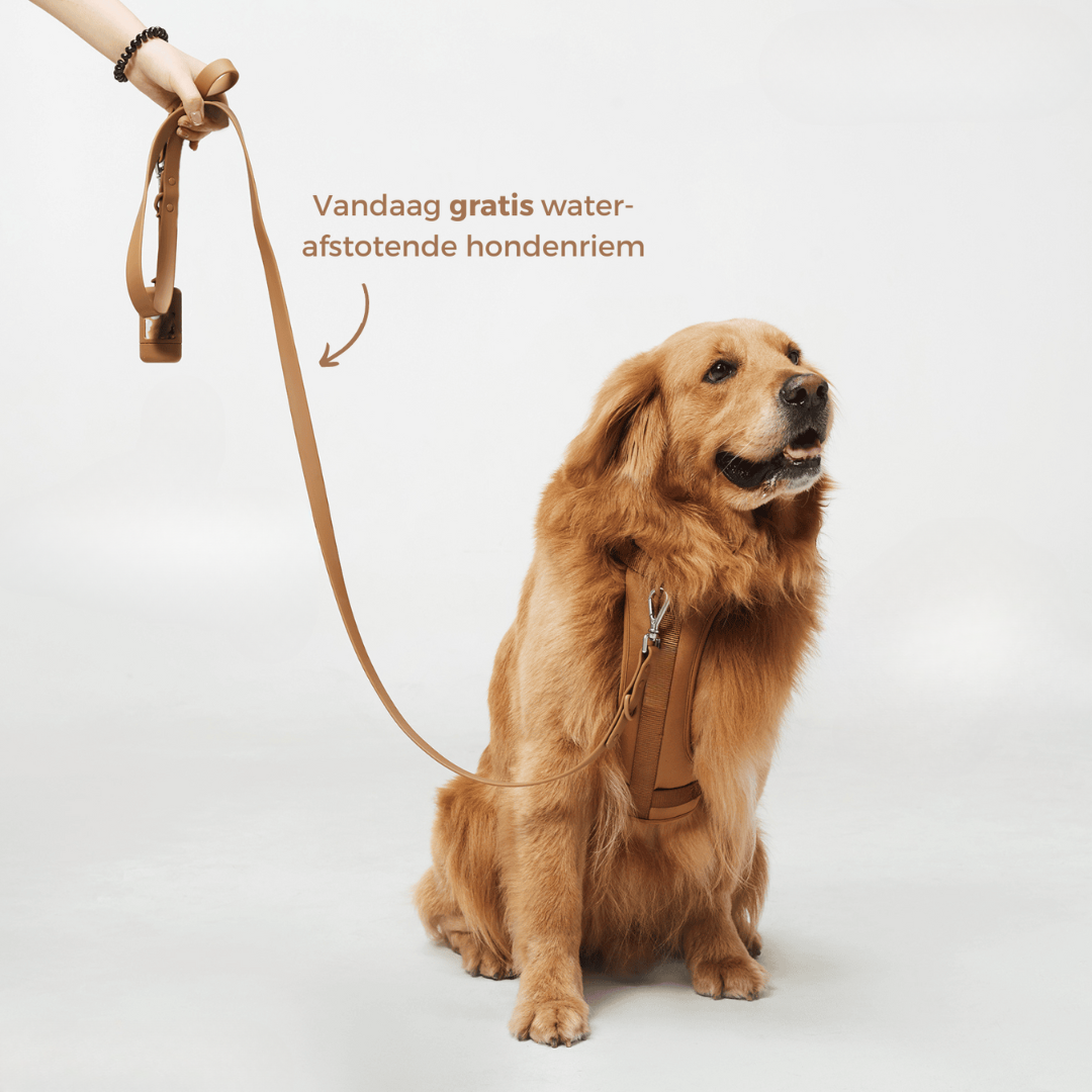 pets : ComfyPaws | Harnas Wandel Set (Inclusief Riem en Poepzakjes Drager) in van Pantino