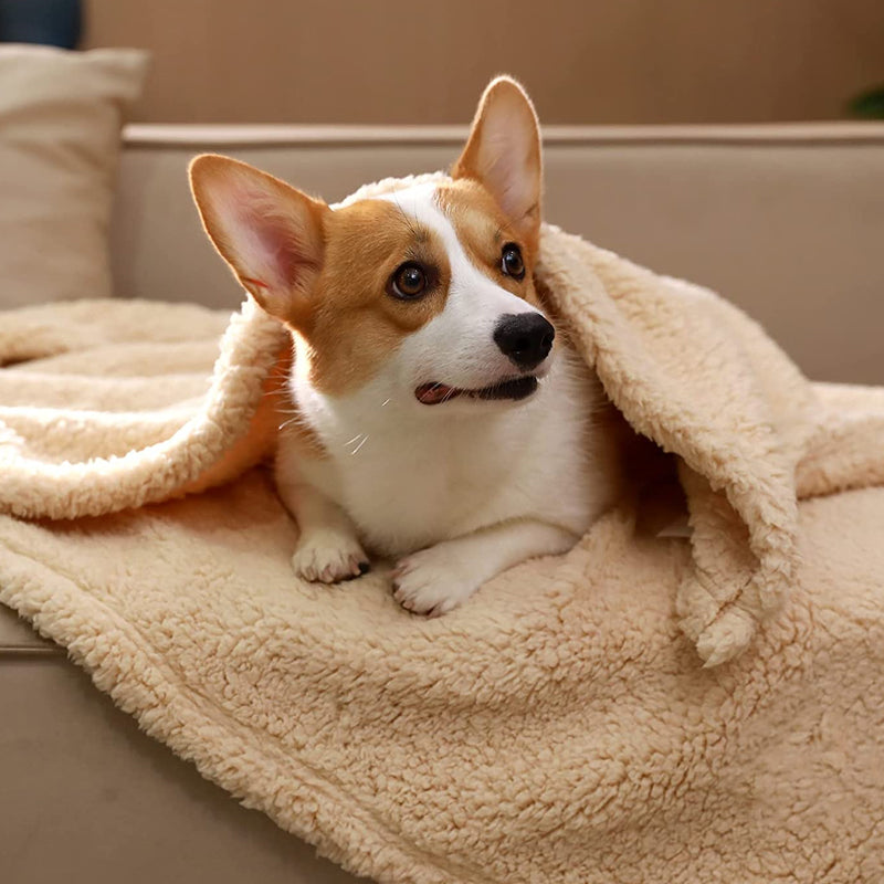 pets : Cozy Fleece Blanket in van Pantino