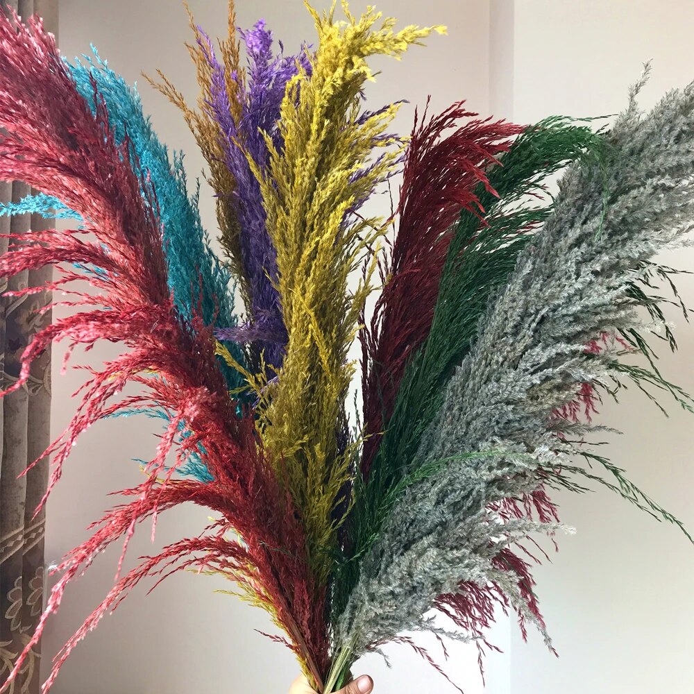 home & garden : FeatherFawn - Gedroogde Pampas Bloemen in Meerkleurig van Pantino