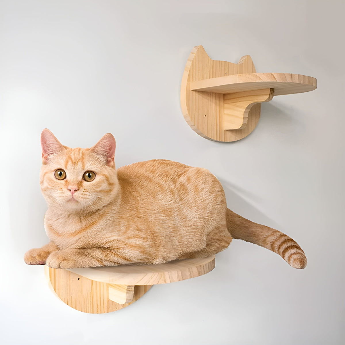 pets : PurrMount Board - Wandkattenklimplank met Krabpaal in van Pantino