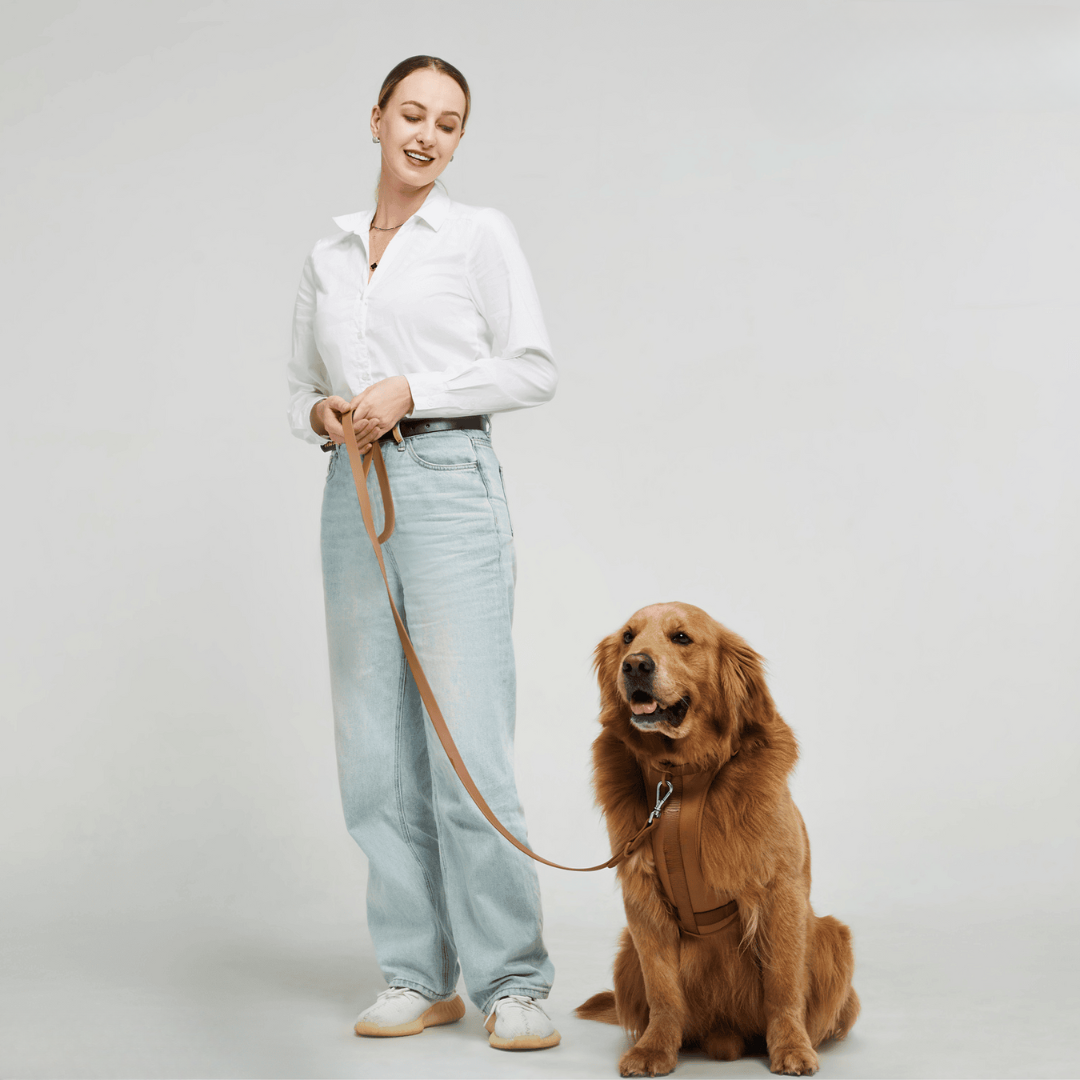 pets : ComfyPaws | Harnas Wandel Set (Inclusief Riem en Poepzakjes Drager) in Bruin van Pantino