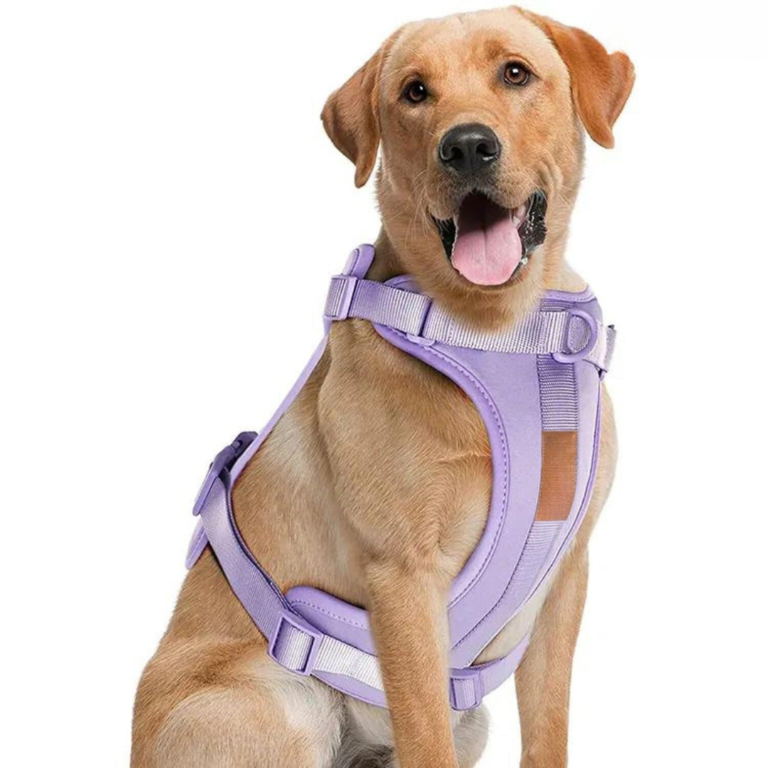 pets : ComfyPaws | Harnas Wandel Set (Inclusief Riem en Poepzakjes Drager) in Violet van Pantino