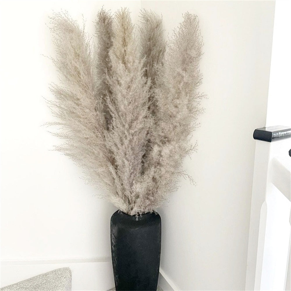 home & garden : FeatherFawn - Gedroogde Pampas Bloemen in Natuurlijk grijs van Pantino