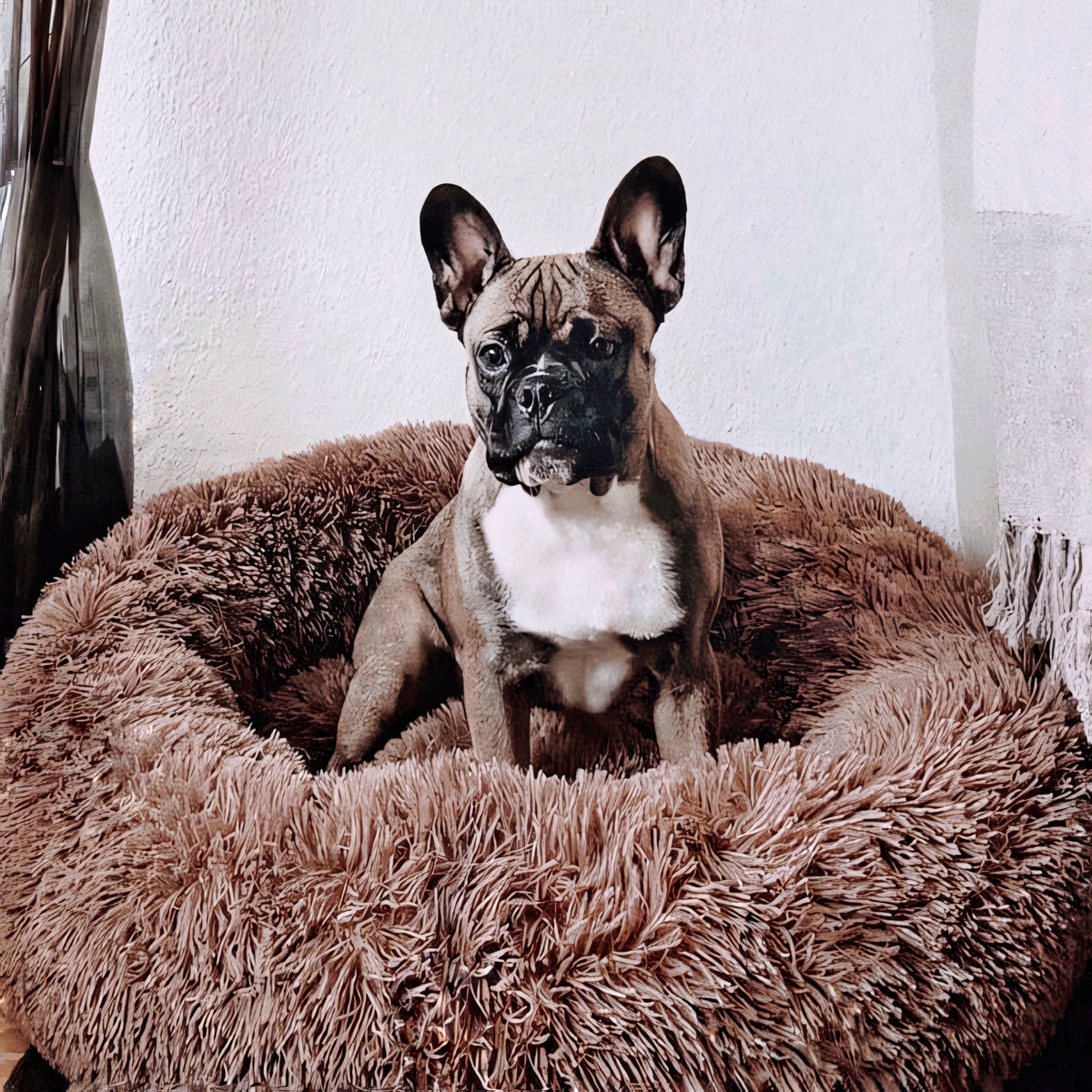 pets : PawZen | Comfortabel Hondenbed | Ultiem Comfort | Veiligheid en Geborgenheid in Bruin van Pantino
