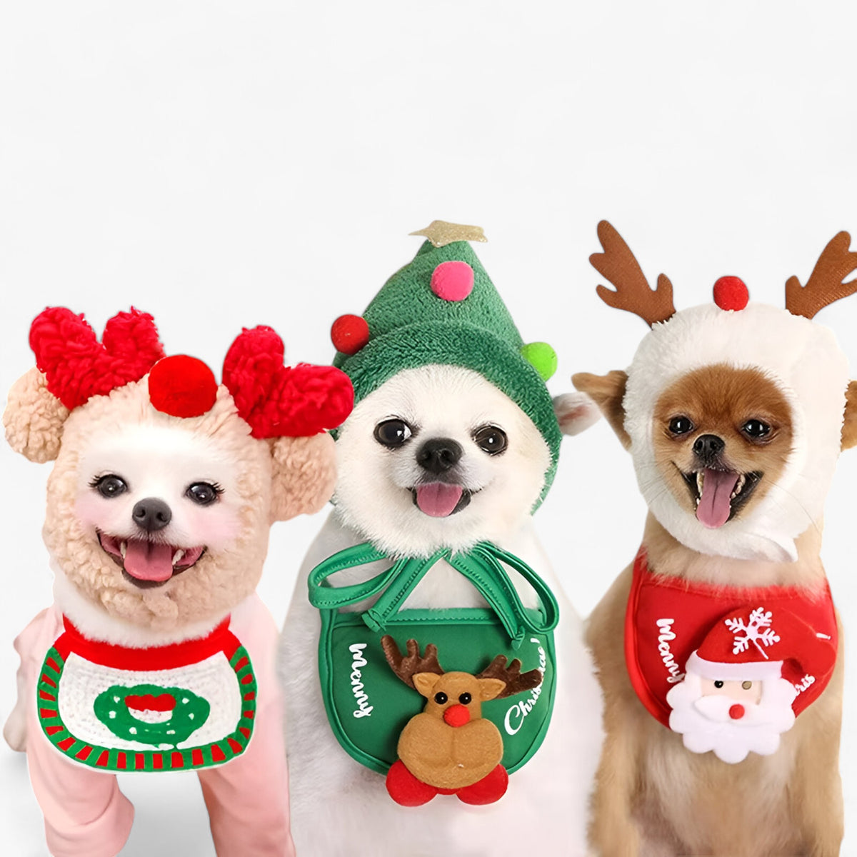 pets : Rudolf | Schattige Kerst Huisdier Hoed in van Pantinoshop