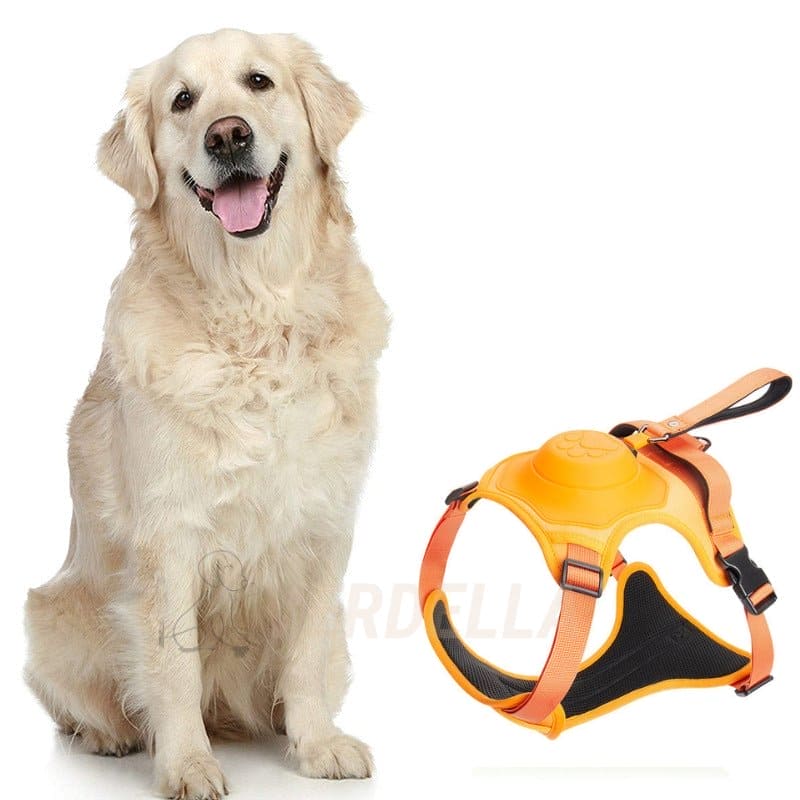 pets : WalkLine™ | Ontspan, Loop en Connect Veilig in Oranje van Pantino