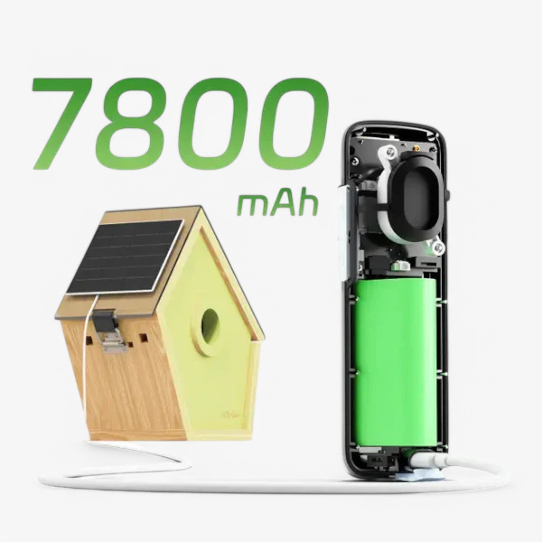 outdoor equipment : Reli Birddy Slank Vogelhuisje met Geavanceerde Technologie in van Pantinoshop