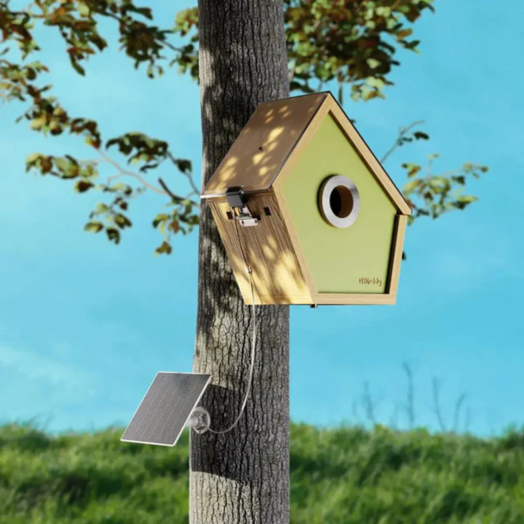 outdoor equipment : Reli Birddy Slank Vogelhuisje met Geavanceerde Technologie in van Pantinoshop