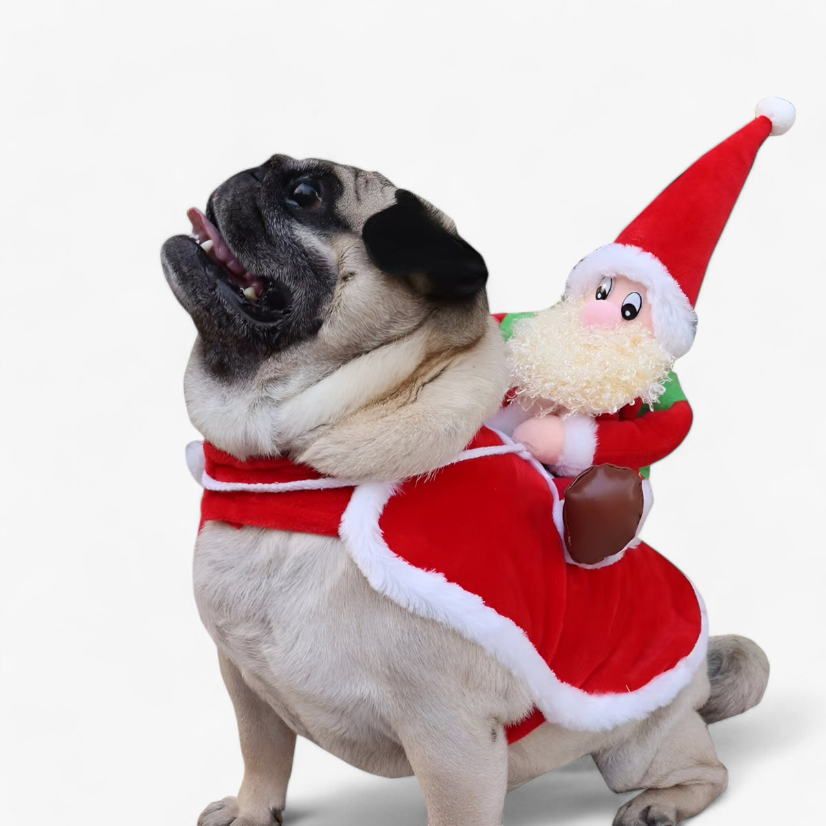 pets : Charlie | Kerst Huisdier Hoodie in van Pantinoshop