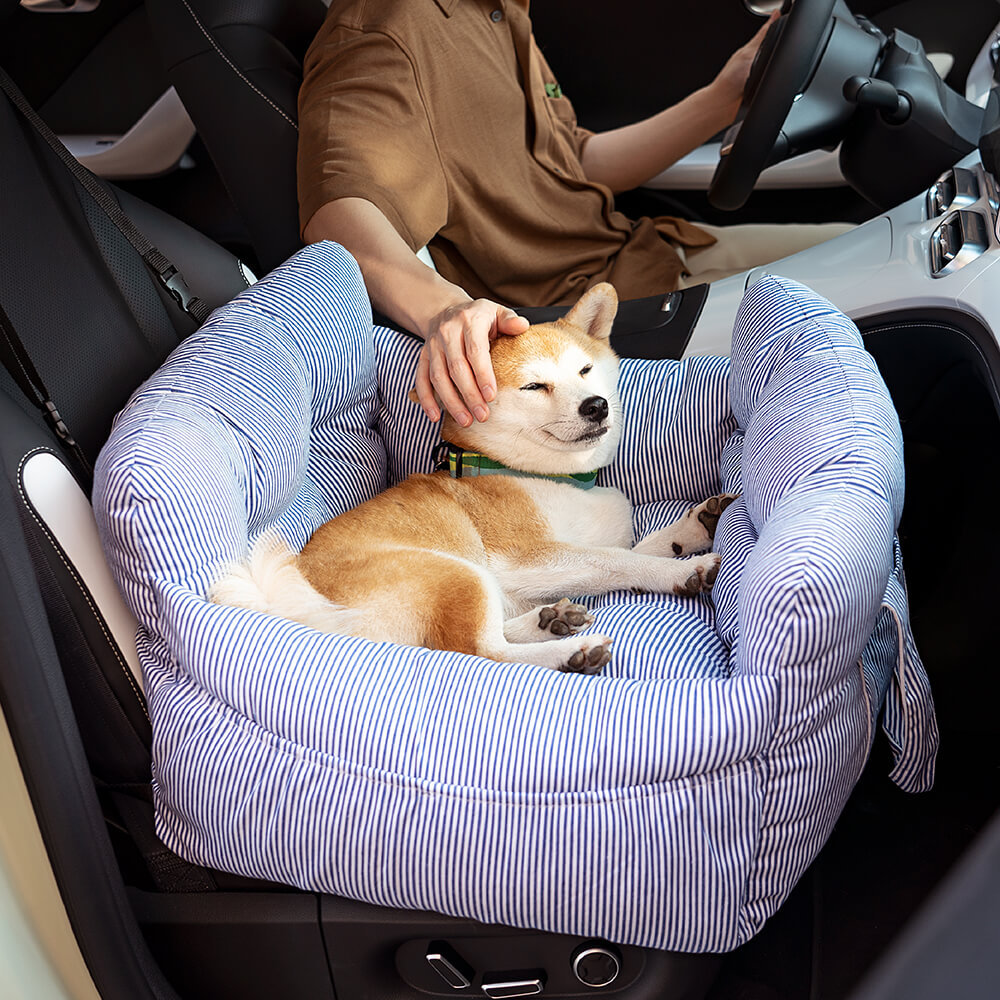 pets : Honden auto mand in van Pantino