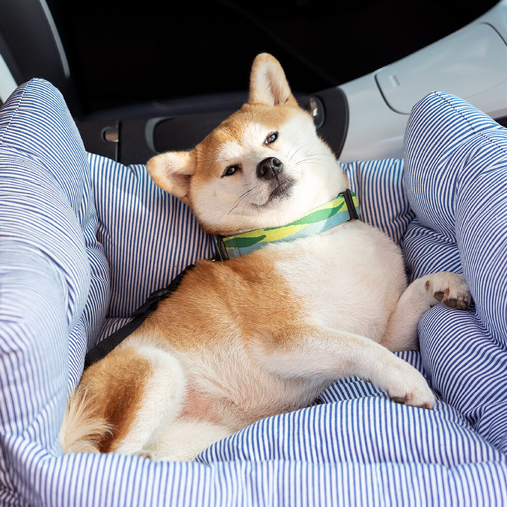pets : Honden auto mand in van Pantino