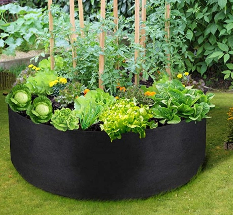 home & garden : Draagbare Groei Tassen in Zwart van Pantino