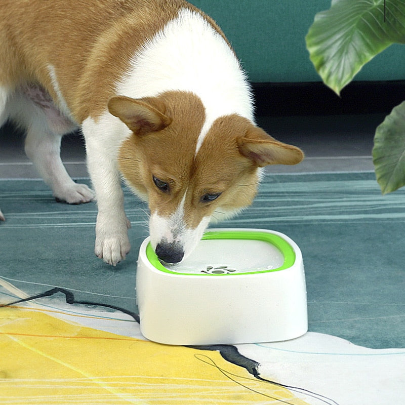 pets : Pet Splash Bowl | De verfrissende waterdispenser voor jouw geliefde huisdier in van Pantino