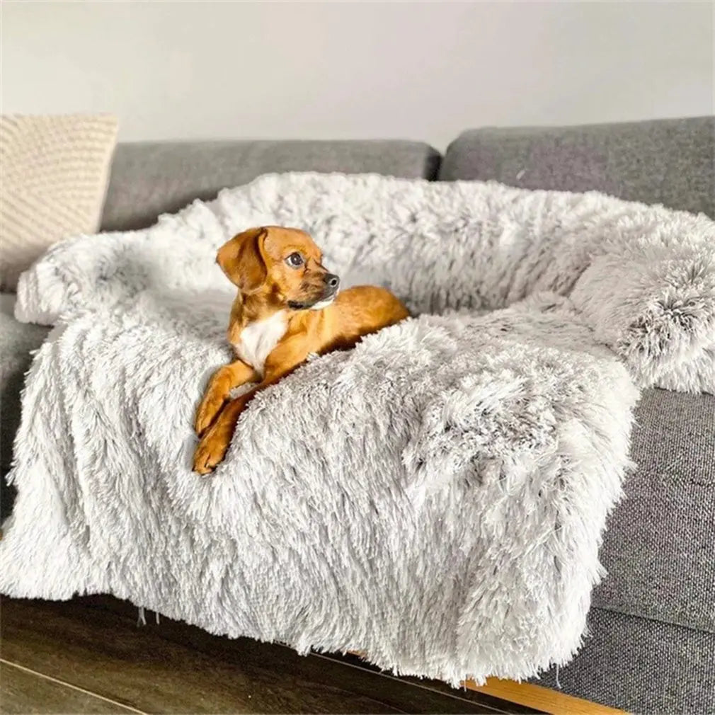 pets : Quishy - Wasbaar Huisdier Sofa Pluche Deken in van Pantino