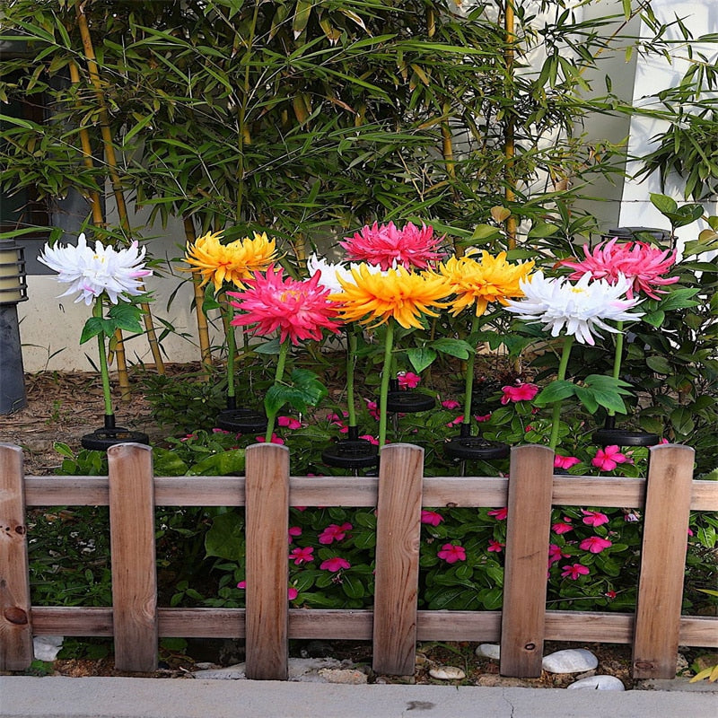 home & garden : Chrysanthemum LED Zonne Licht in Roze van Pantino