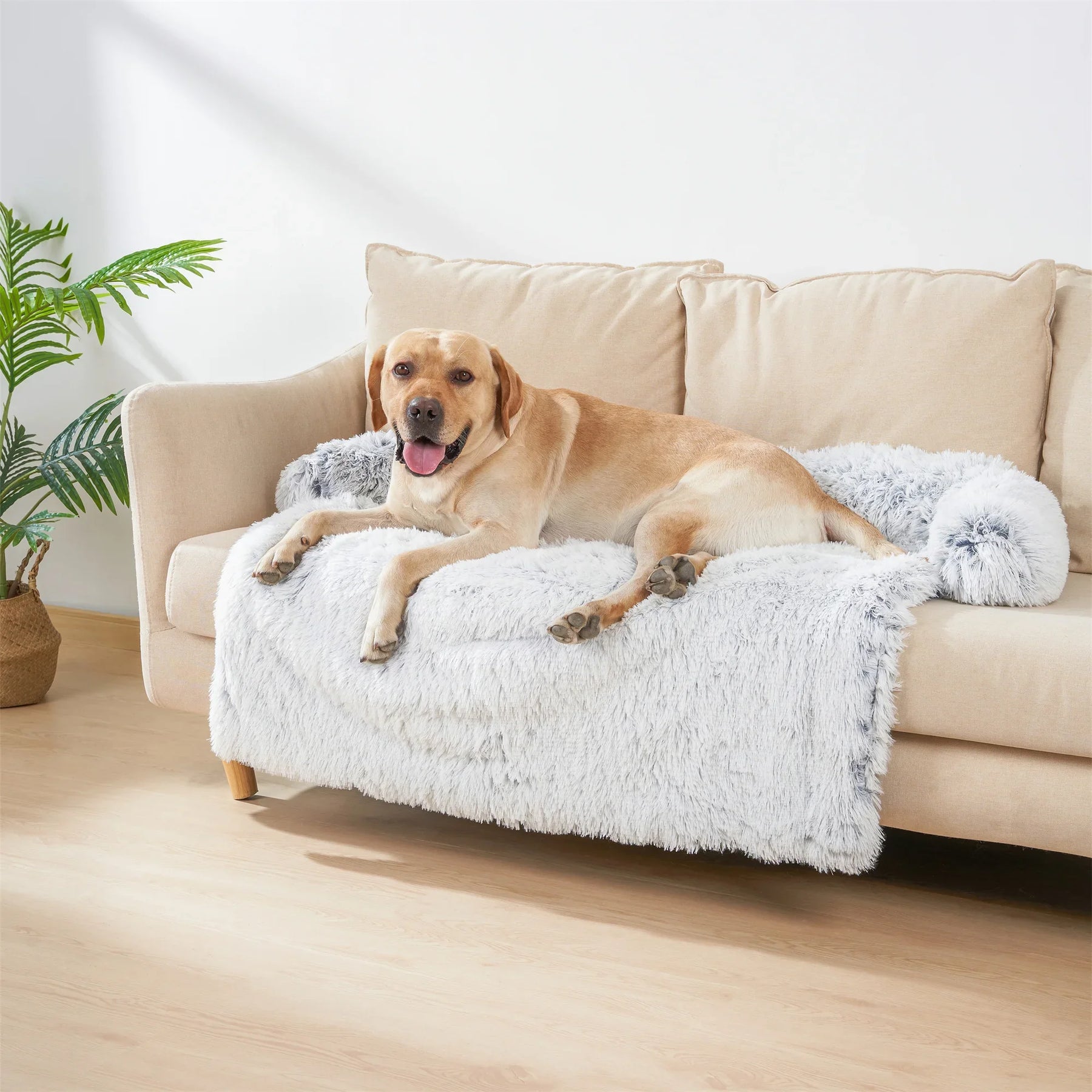 pets : Quishy - Wasbaar Huisdier Sofa Pluche Deken in van Pantino
