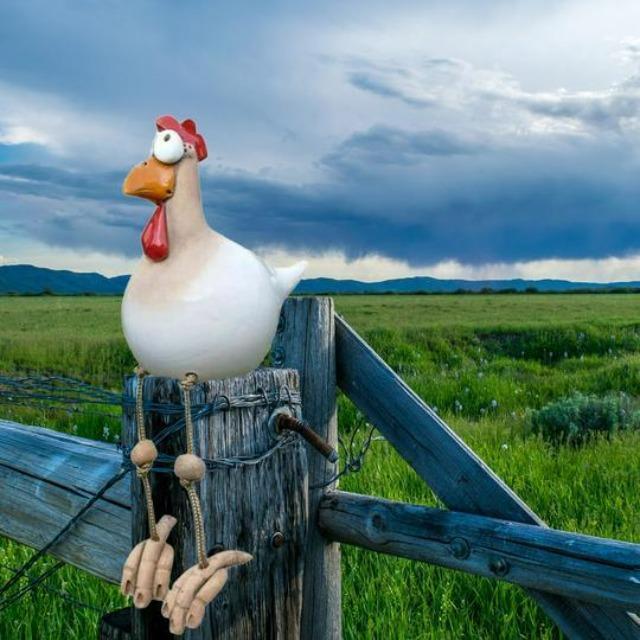 home & garden : Grappige kip | Tuinstekers van hoogwaardige materialen - de meest unieke blikvanger van het jaar in Wit van Pantino