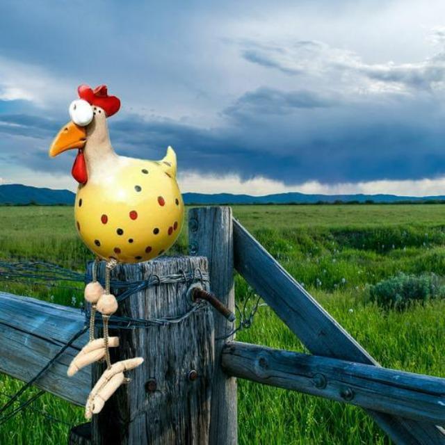 home & garden : Grappige kip | Tuinstekers van hoogwaardige materialen - de meest unieke blikvanger van het jaar in Geel van Pantino