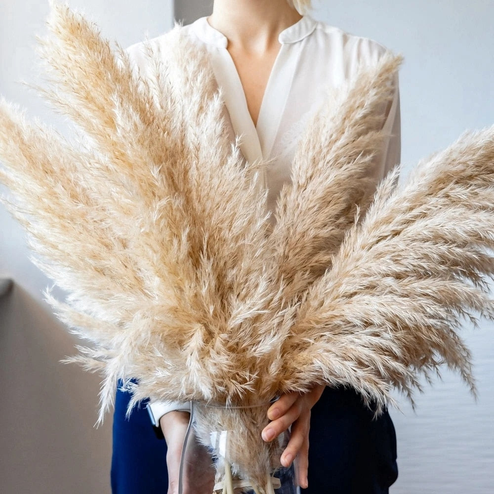 home & garden : FeatherFawn - Gedroogde Pampas Bloemen in van Pantino