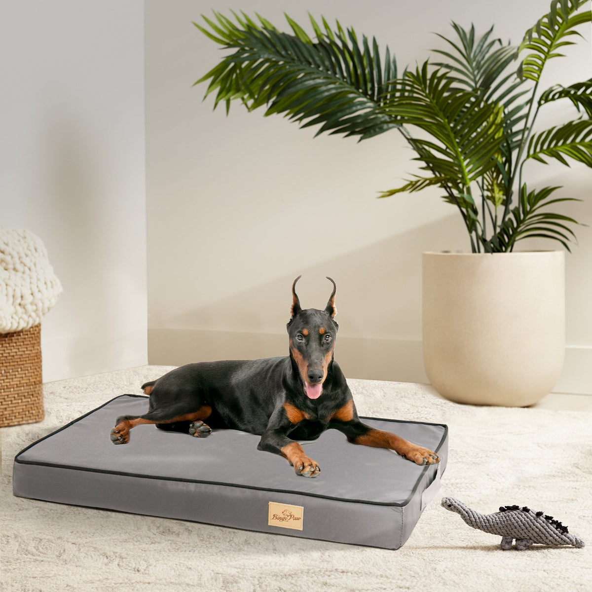 pets : Maxi Comfort Hondenbed - Grijs in van Pantino