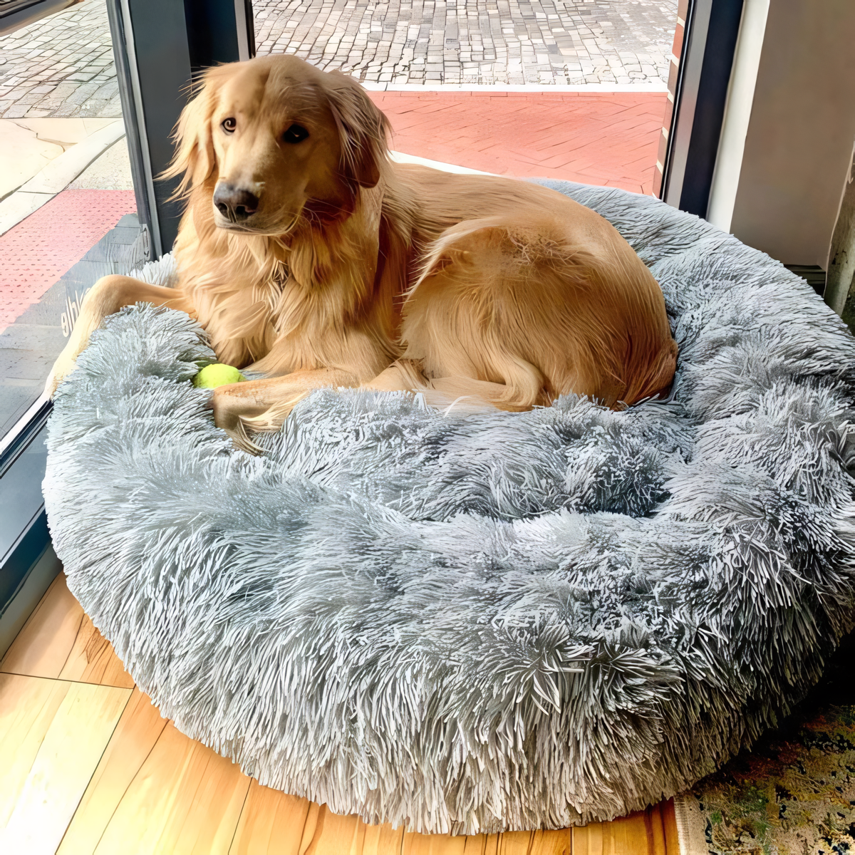 pets : PawZen | Comfortabel Hondenbed | Ultiem Comfort | Veiligheid en Geborgenheid in Grijs van Pantino