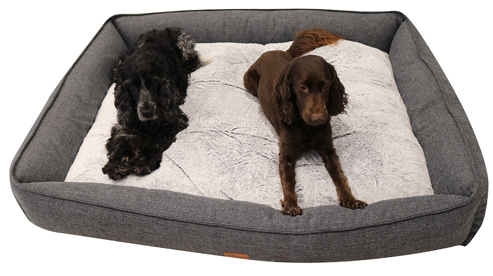 pets : Charlie - Orthopedisch Comfort Hondenbed in Grafietgrijs in XL van Pantino