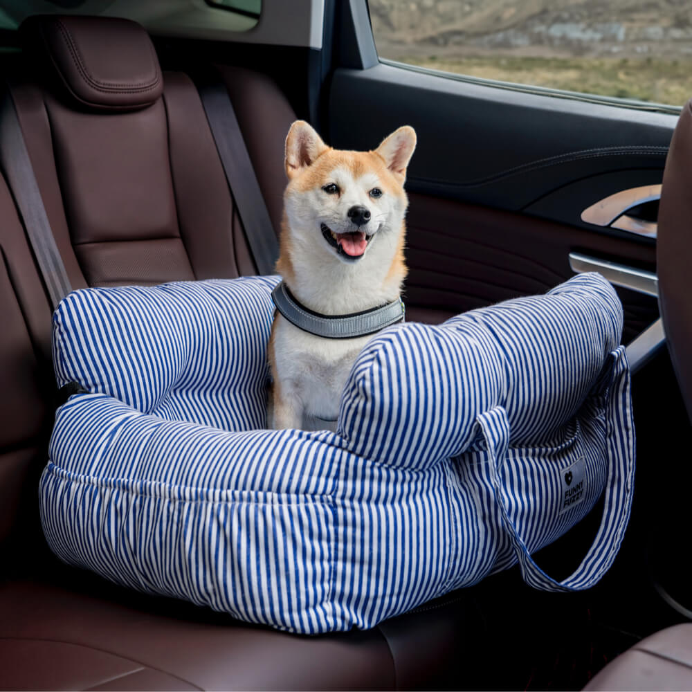 pets : Honden auto mand in van Pantino