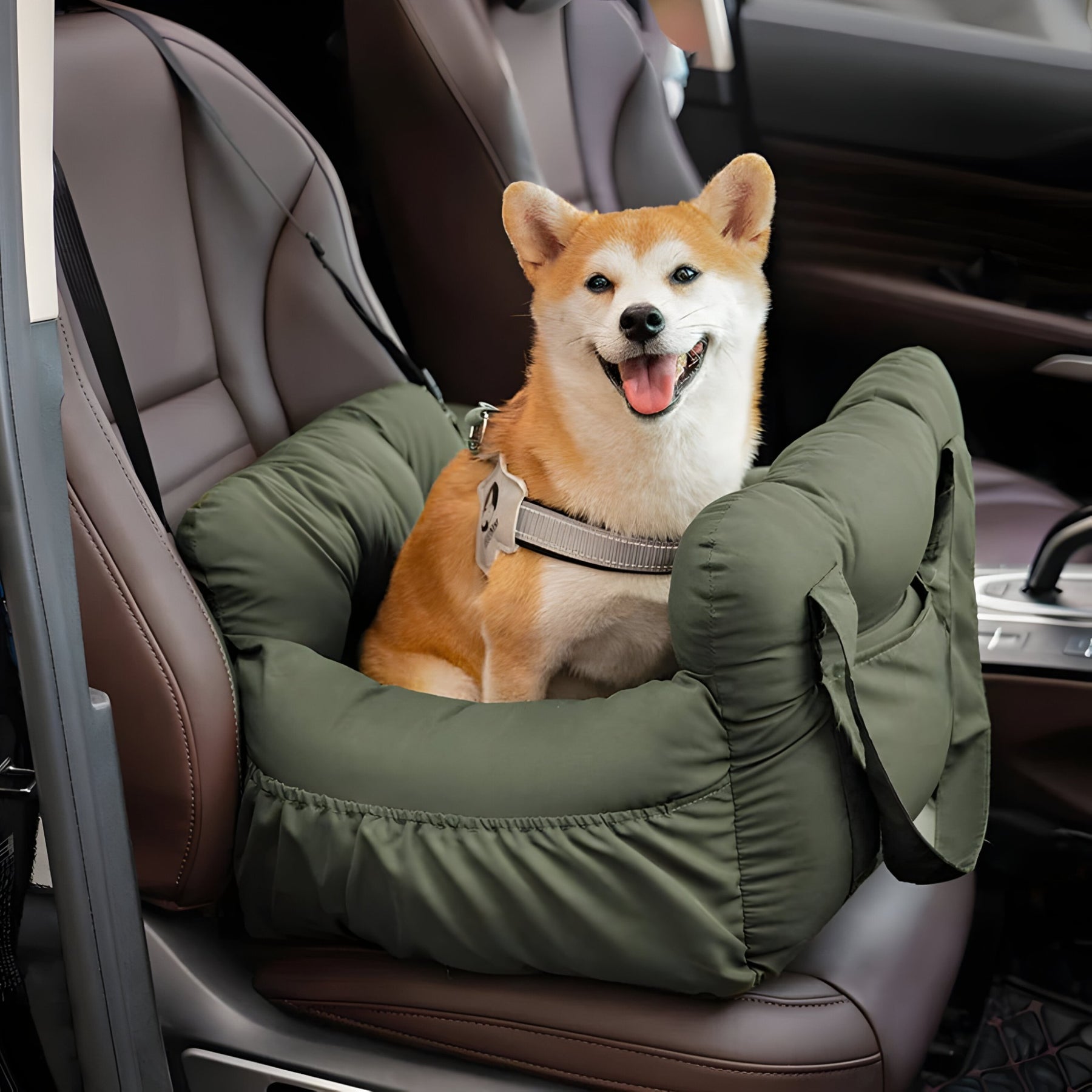 pets : Honden auto mand in van Pantino