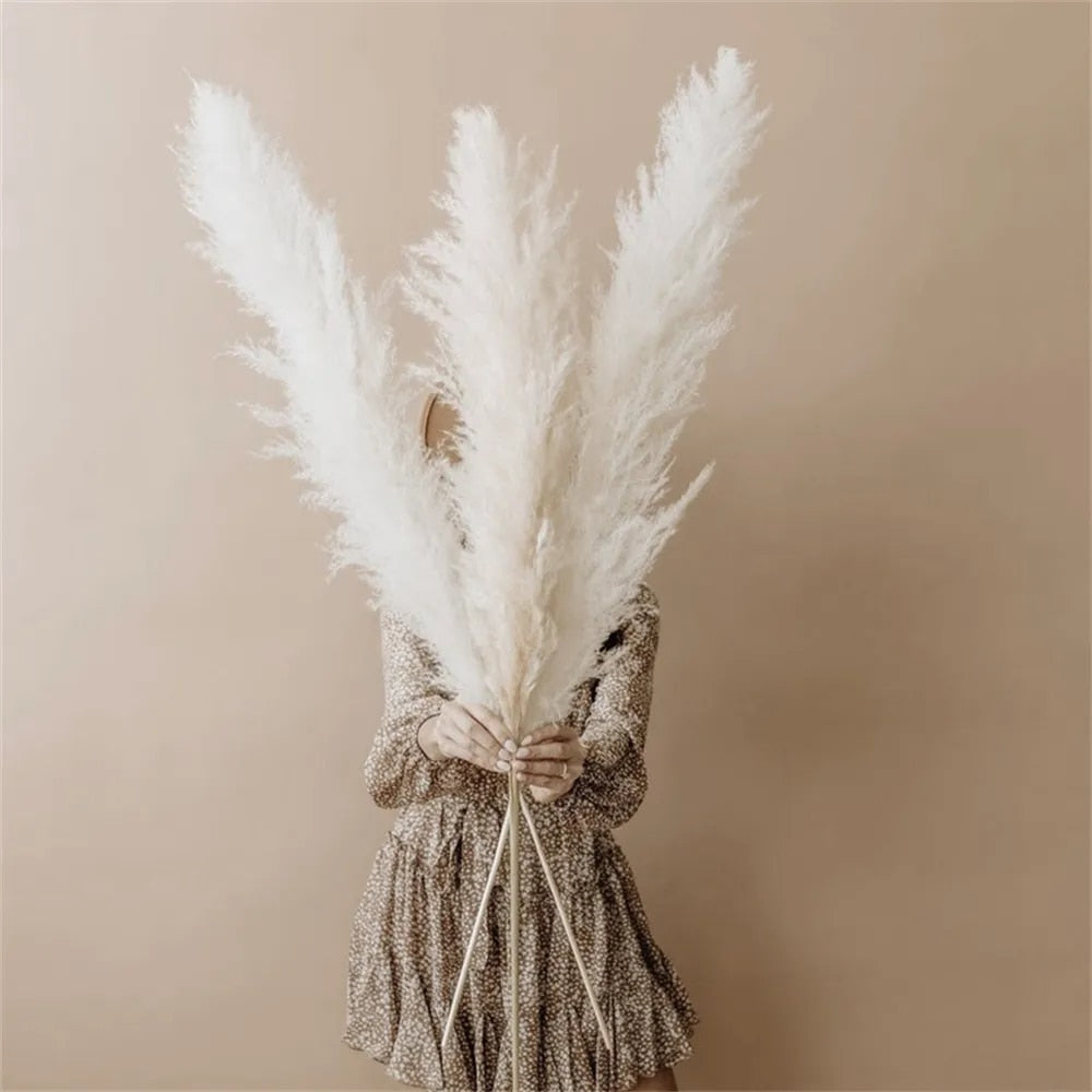 home & garden : FeatherFawn - Gedroogde Pampas Bloemen in van Pantino