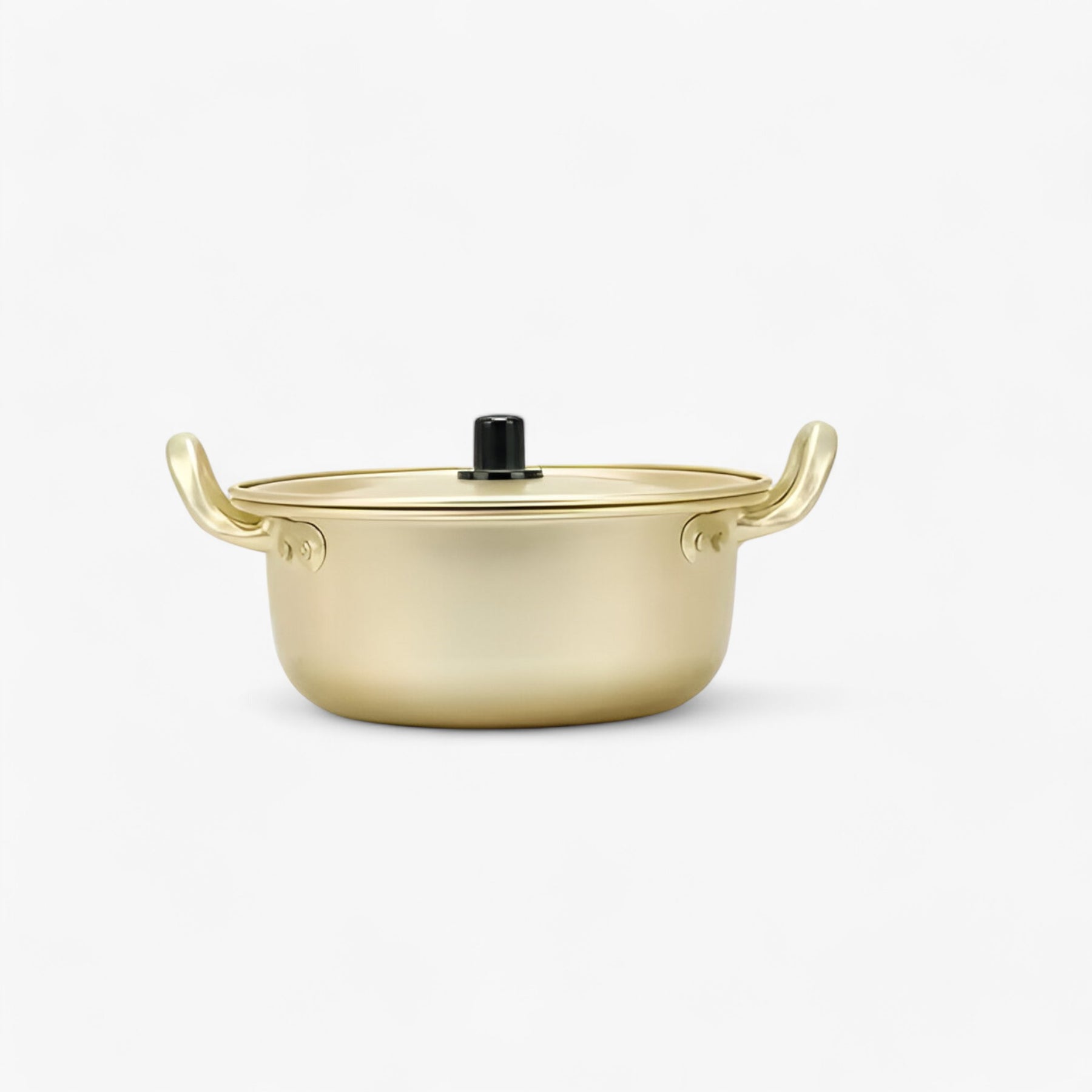 home & garden : Hana | Gouden Noodle Pot in 18CM van Pantinoshop
