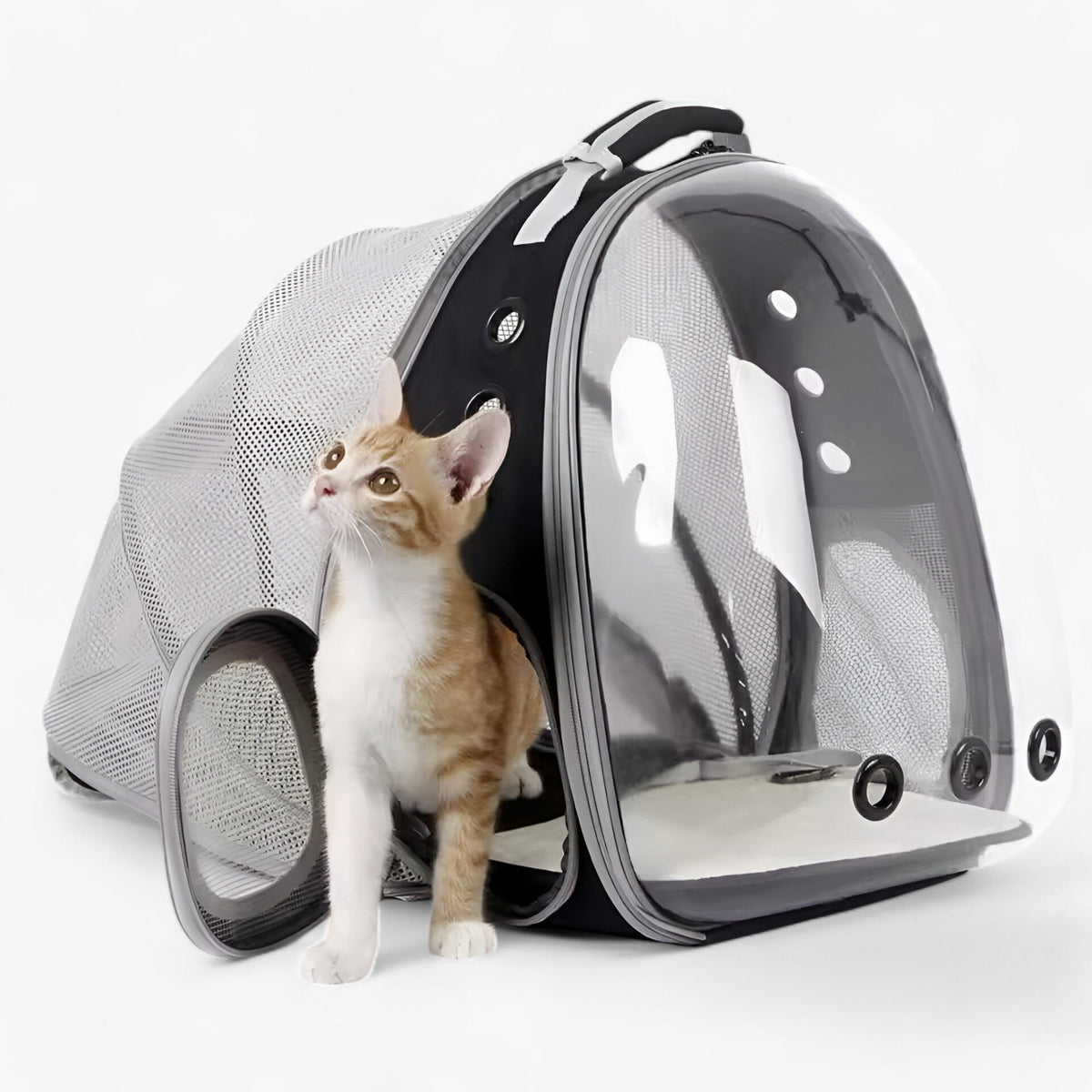 pets : Luna | Ruimtelijke kattenrugzak met astronautenthema en bolle venster in van Pantinoshop