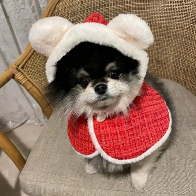 pets : Luna | Winter Warmte Huisdier Cape in van Pantinoshop
