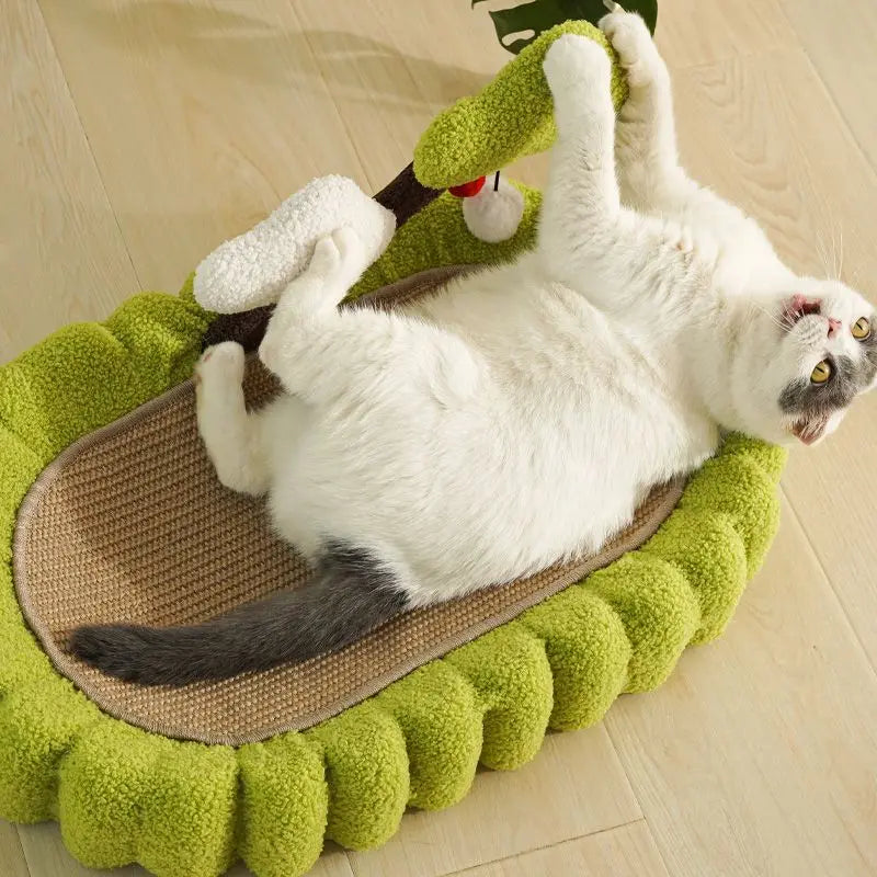 pets : Katten Krabmand Speelmat in van Pantino